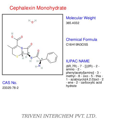 Cephalexin Monohydrate