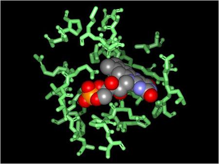 Secondry Butyl Chloride