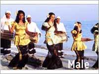 Tour Operators Services