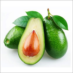 Avocado Fruit