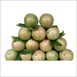 Star Apple
