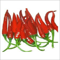Fresh Red Chillies