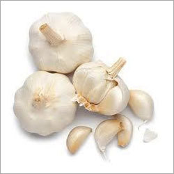 Fresh Garlic