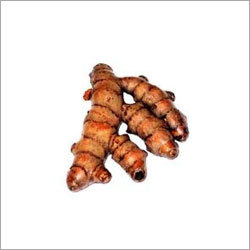 Turmeric Roots