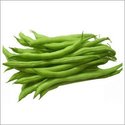 Fresh French Beans