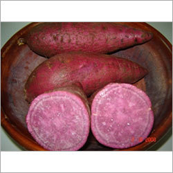 Fresh Sweet Potatoes