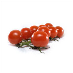 Fresh Red Tomatoes