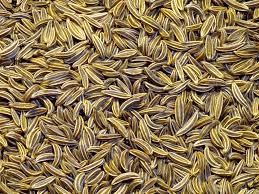 Fennel Seeds