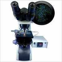 Semen Analysis  Microscope