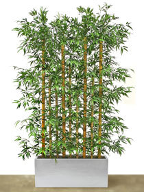 6' BAMBOO SCREEN