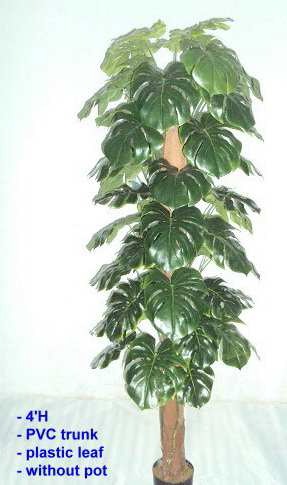 4' SPLIT PHILLOW TREE