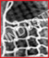 Nylon Safety Net