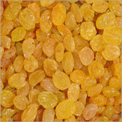 Golden Raisins