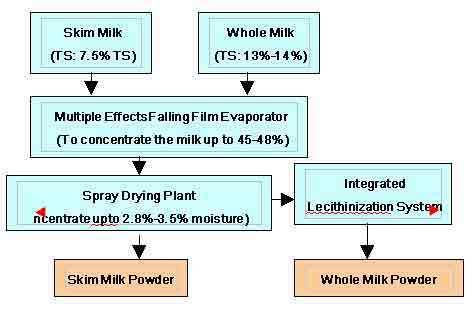 Automatic Smp/Wmp/ Dairy Whitener Plant