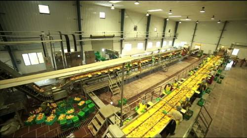 Fruits and Vegetables Processing Plants