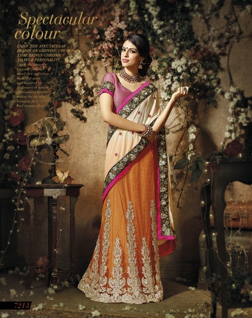 7213 - Heavy Embroidered Jav Chitton Saree, Orange and Cream Net & Georgette, Bollywood Style for All Seasons