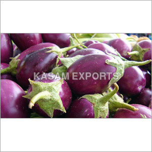 Fresh Brinjal