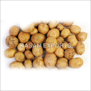 Fresh Potato