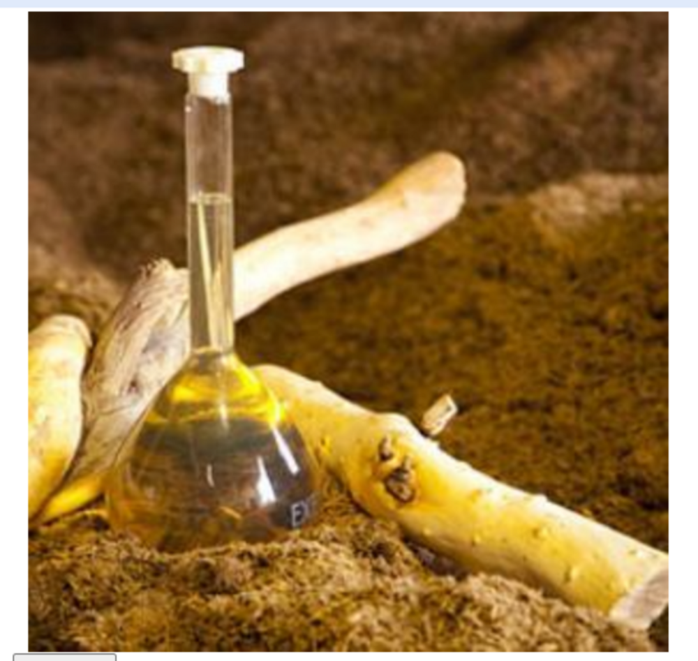 Sandalwood Oil - Cas No: 8006-87-9