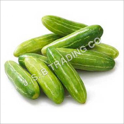 Tindly (Coccinia) - Green, 4.5/5/10 Kgs Bags | Rich Fiber, Good Protein, Strong Aroma, Easily Digestible