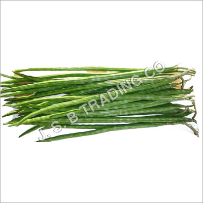 Drum Stick (Moringa)