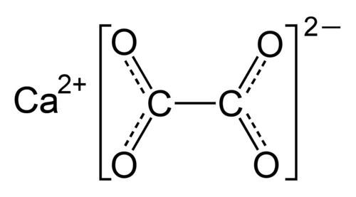 Calcium Oxalate