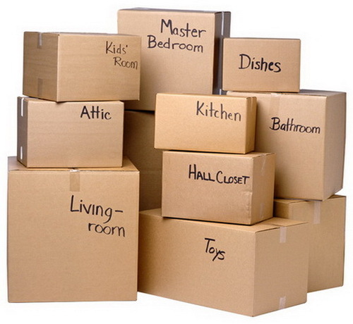 Freight & Packing Services