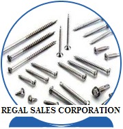 Duplex Steel Screws