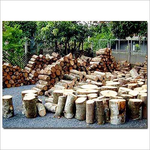 Mango Wood