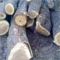 Neem Wood