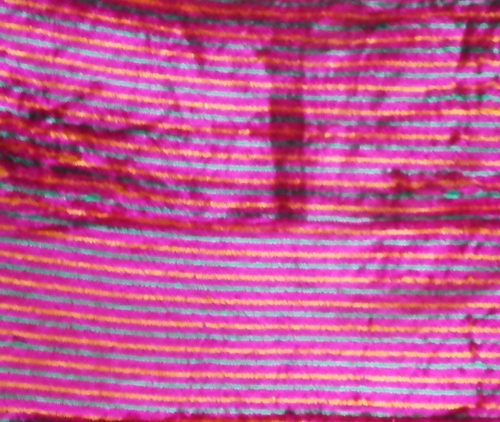 Striped Knit Fabrics