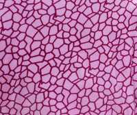 Super Soft Printed Fabric