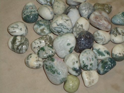 Zebra Polished Pebbles