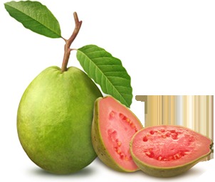 guava