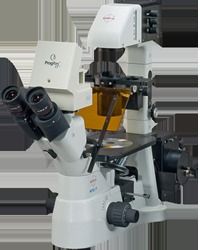 Steel And Zinc Inverted Tissue Culture Microscope-D