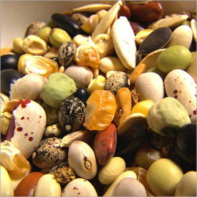 Agro Seeds