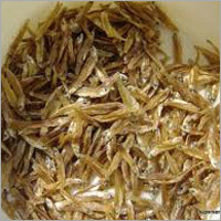 Dried Salt Fish