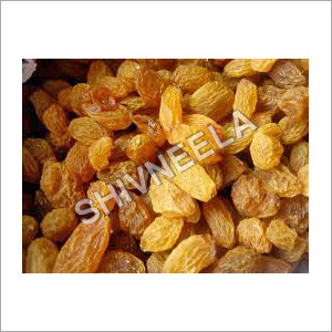 Dry Golden Raisins