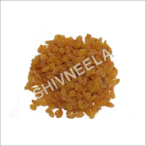 Dry Raisin