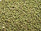 Moong Seeds