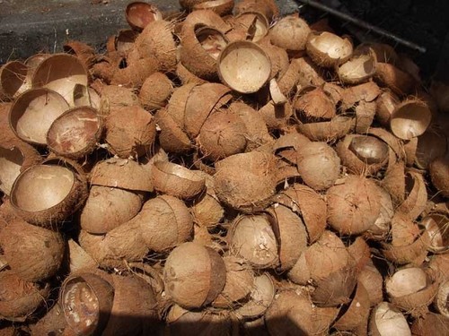 Coconut Shell Products