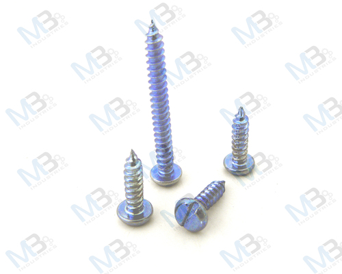 Zinc Plated MS Screws