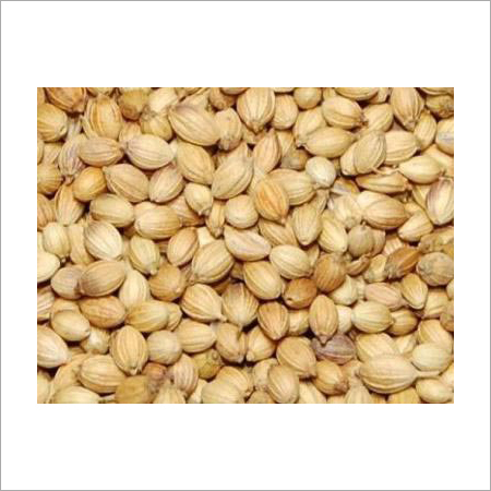 Coriander Seeds