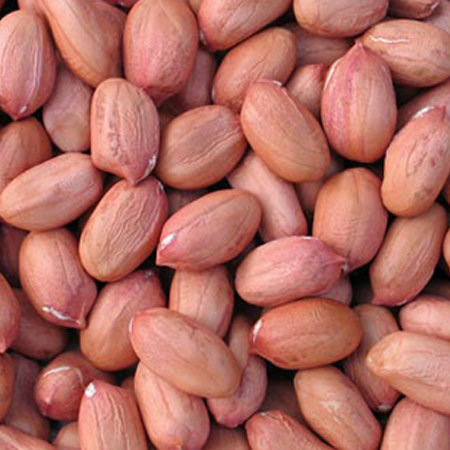 Ground Peanuts Kernel