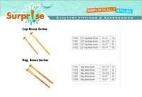 Brass Wood Screw - Color: Golden