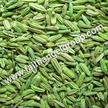 Fennel Seeds