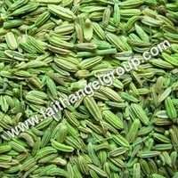 Fennel Seeds