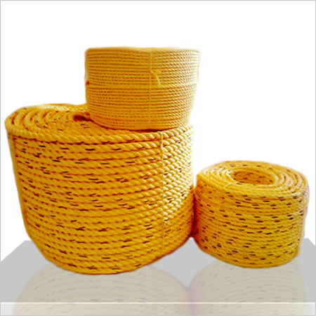 PP Danline Rope