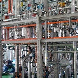 Herbal Extraction Plant