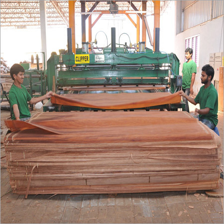 Veneer Plywood